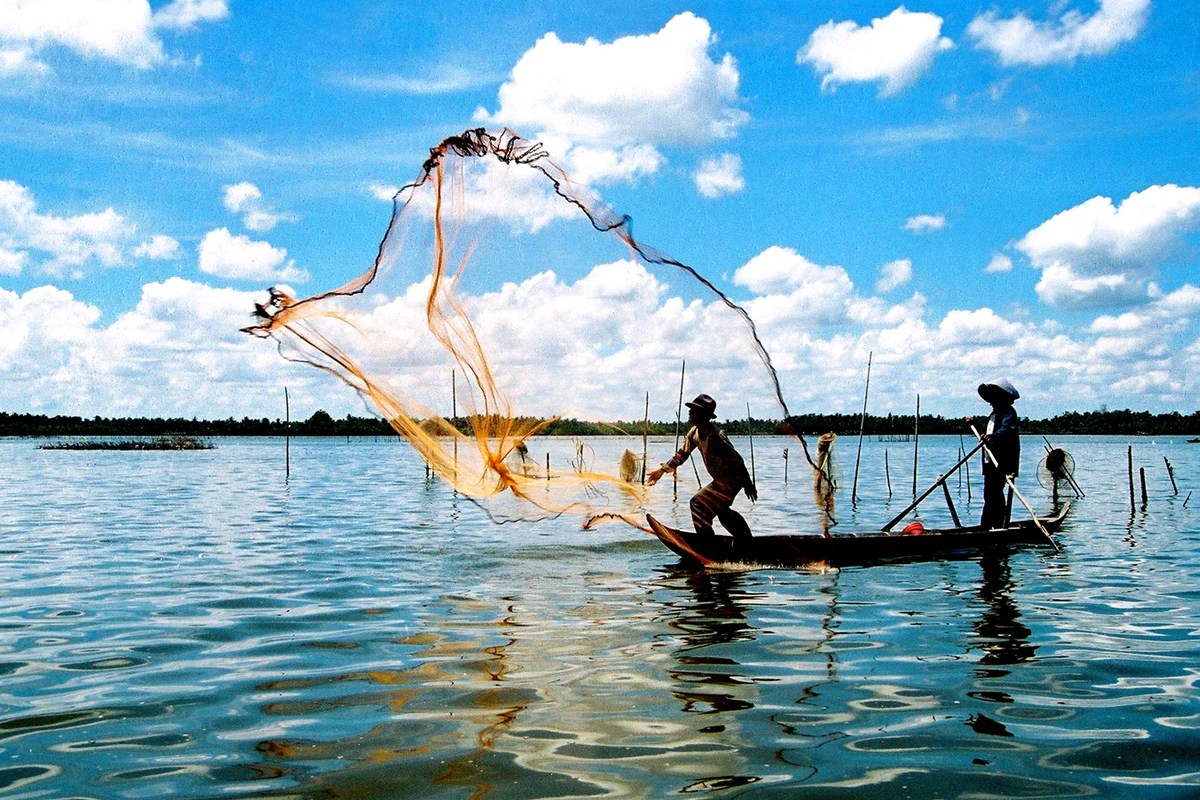 Chọn Đi tiếp để đến bước thanh toán