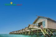 tour-nghi-duong-maldives-centara-ras-fushi-resort-spa-4n3d