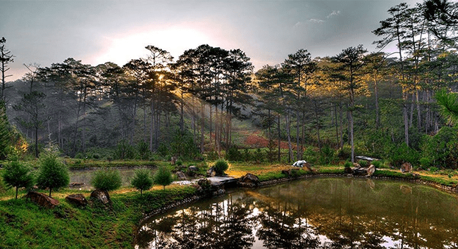 Vườn quốc gia Bidoup Núi Bà với khung cảnh hoang sơ đẹp ngút ngàn